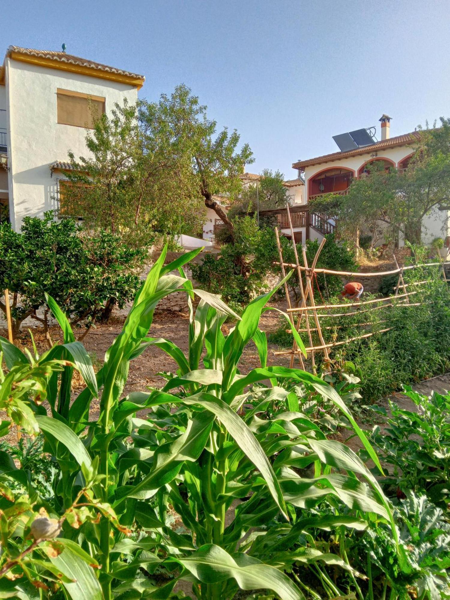 Holiday home Tuguest Hortichuela House